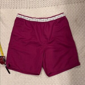 Stussy New York Fuchsia Men’s Shorts Small